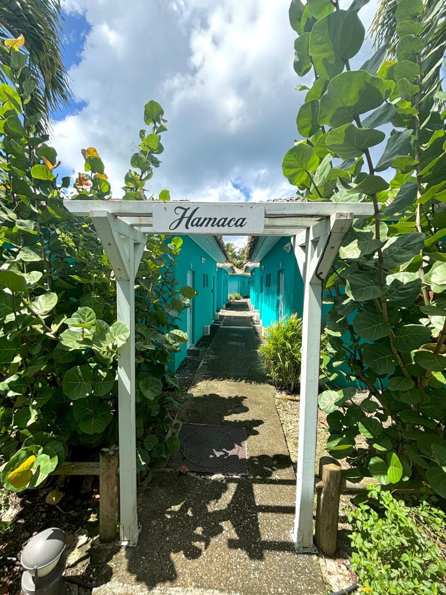 La Bulle De Maloma - Piscine, Blue Dream, Plage Grand-Bourg  Екстериор снимка