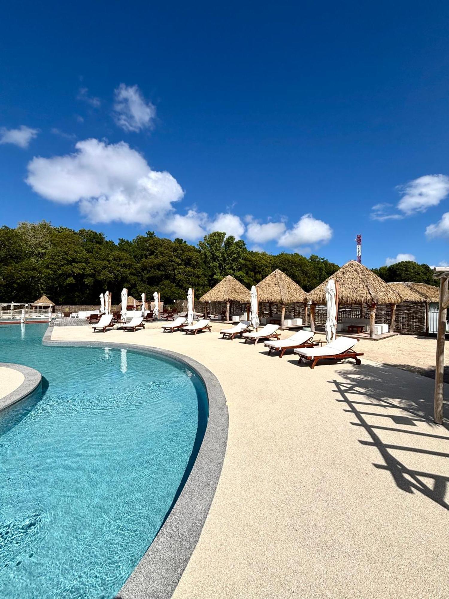 La Bulle De Maloma - Piscine, Blue Dream, Plage Grand-Bourg  Екстериор снимка